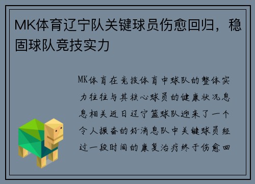 MK体育辽宁队关键球员伤愈回归，稳固球队竞技实力